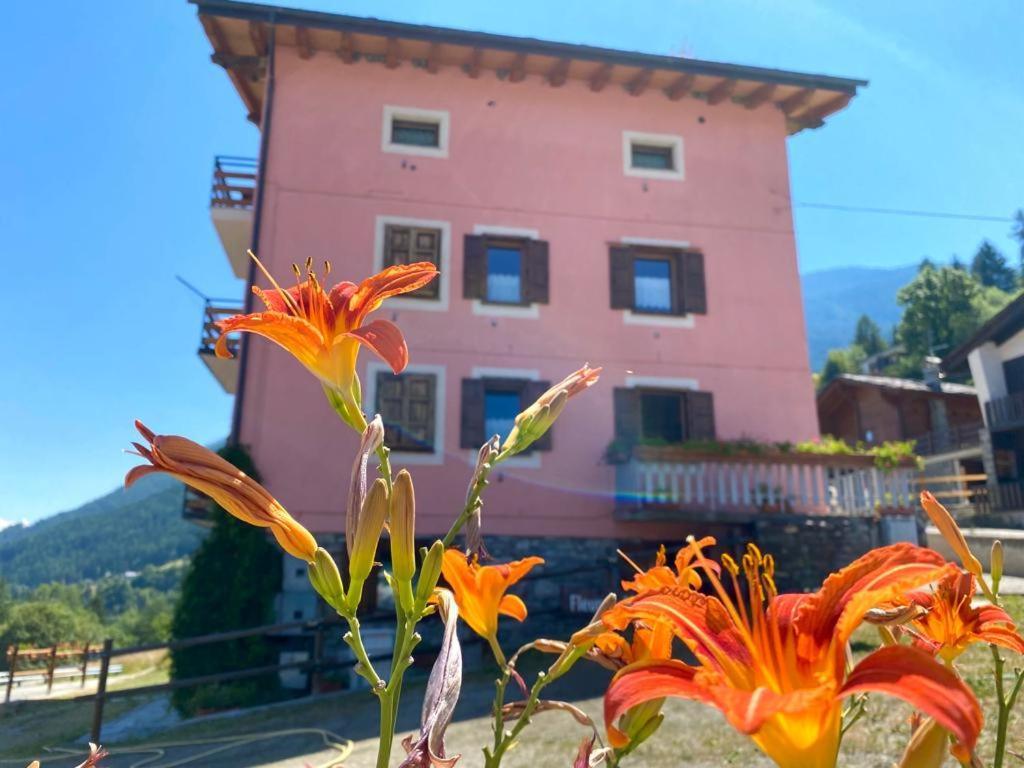 Ferienwohnung Fleurs De Neige Pila  Exterior foto